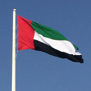 UAE business structuring advisory